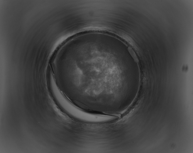 X0000091481030200708301910