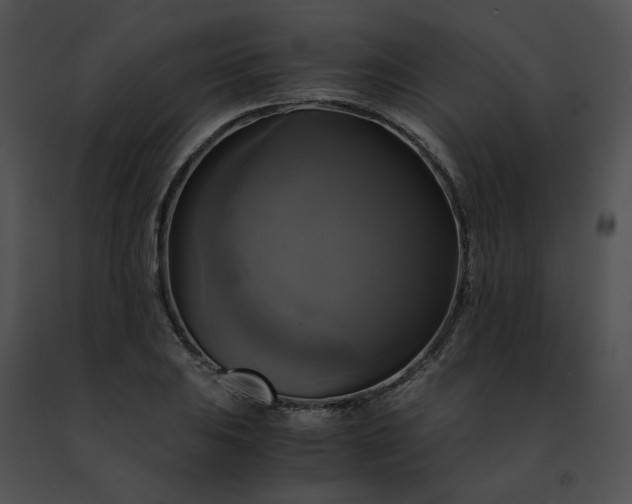 X0000091481031200708301910