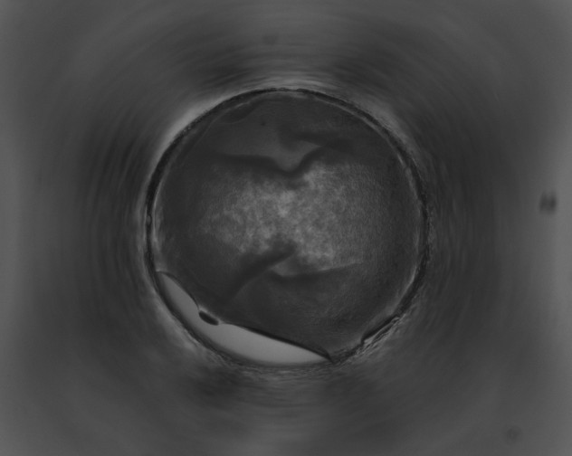 X0000091481032200708301910