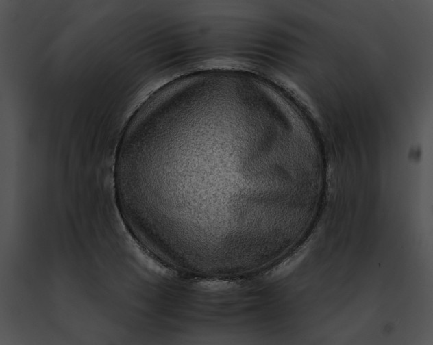 X0000091481033200708301910