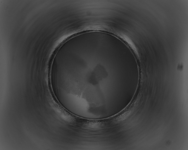 X0000091481035200708301910