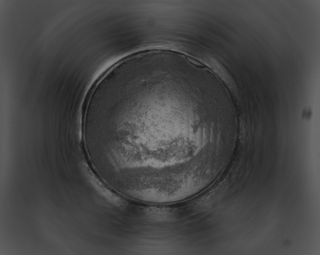 X0000091481036200708301910