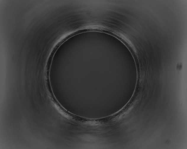 X0000091481037200708301910