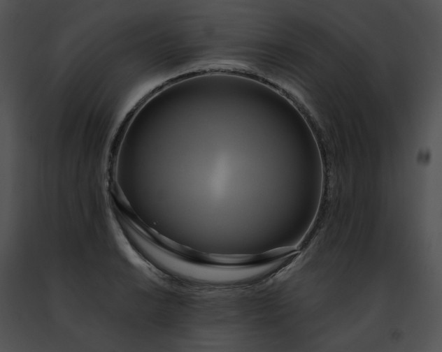 X0000091481038200708301910