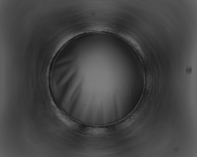 X0000091481039200708301910