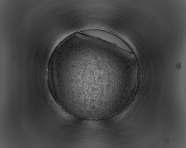 X0000091481040200708301910