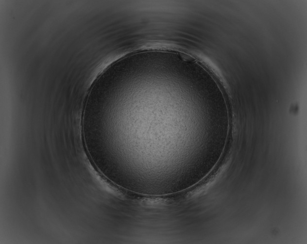 X0000091481041200708301910