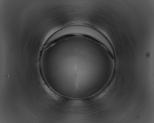 X0000091481042200708301910