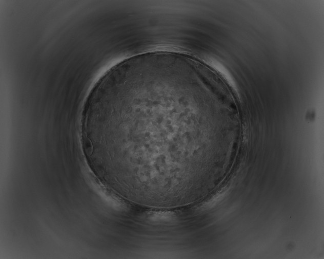 X0000091481043200708301910