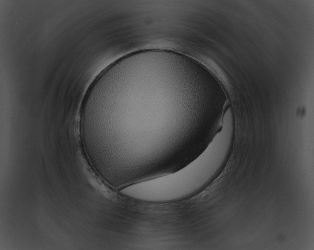 X0000091481044200708301910