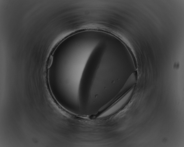 X0000091481045200708301910