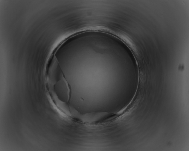 X0000091481046200708301910