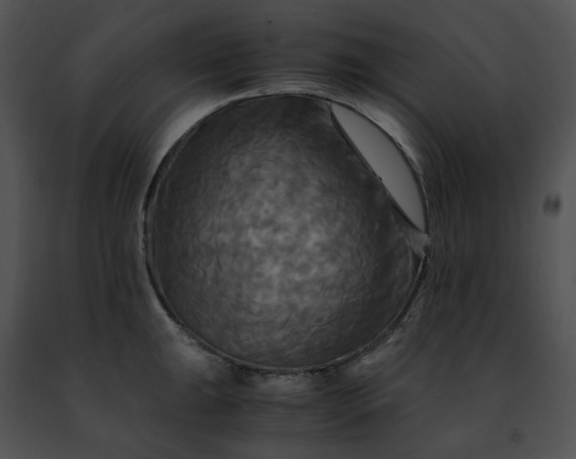 X0000091481047200708301910