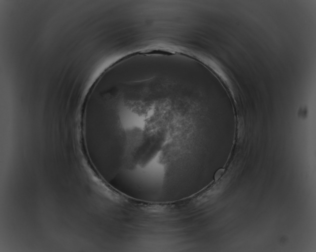 X0000091481048200708301910