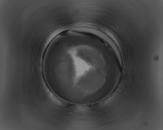 X0000091481050200708301911