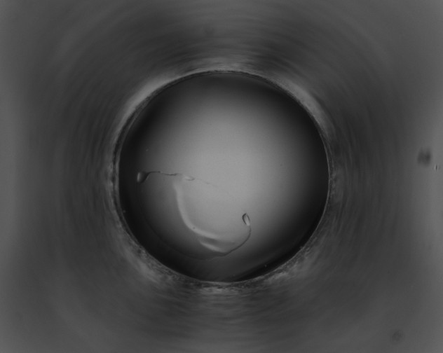 X0000091481051200708301911