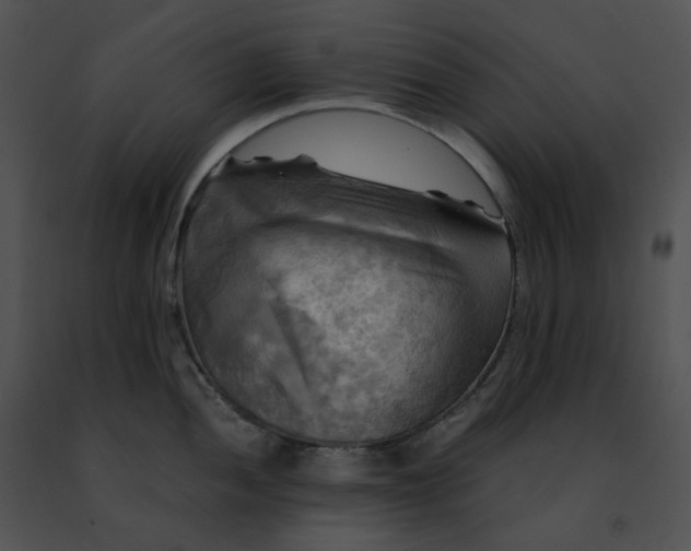 X0000091481052200708301911