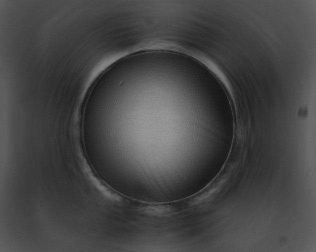 X0000091481053200708301911