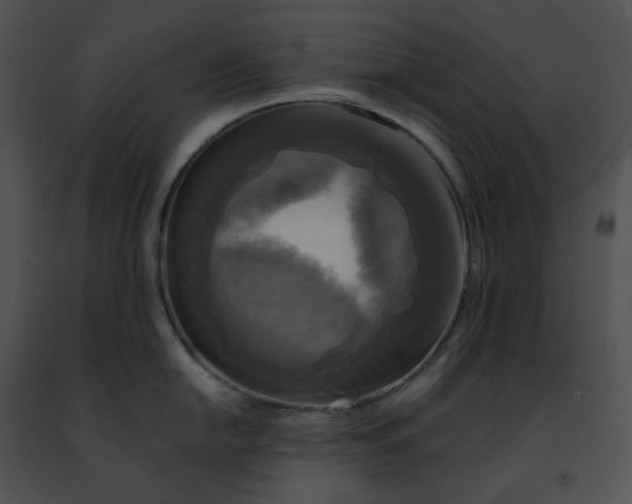 X0000091481054200708301911