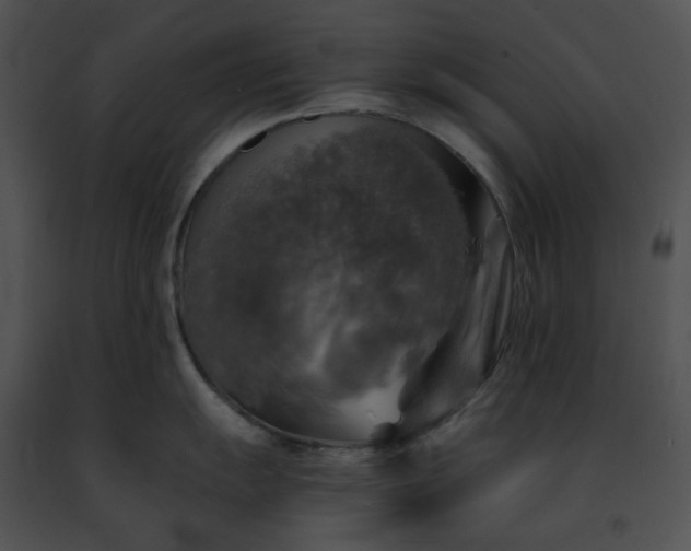 X0000091481055200708301911