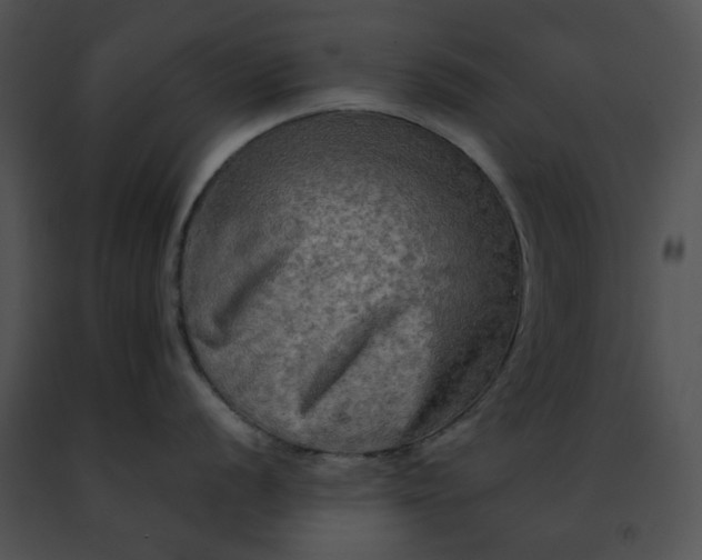 X0000091481056200708301911