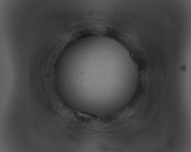 X0000091481057200708301910