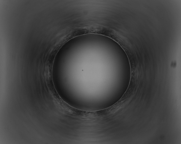 X0000091481058200708301910