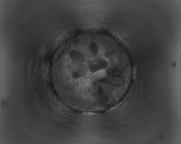 X0000091481059200708301910