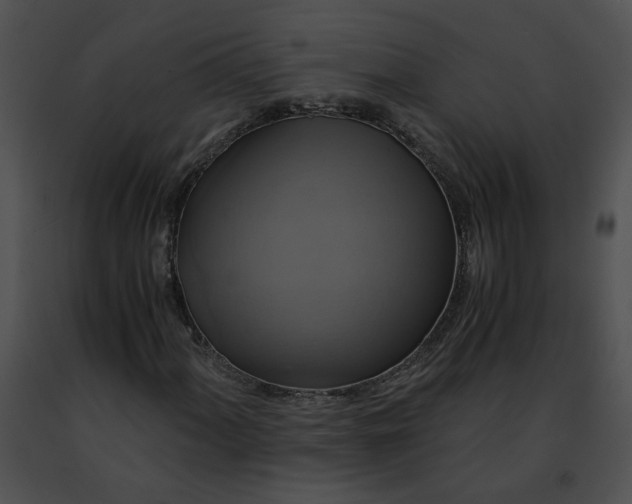 X0000091481060200708301910