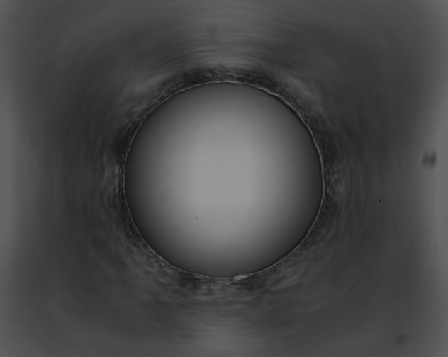 X0000091481061200708301910