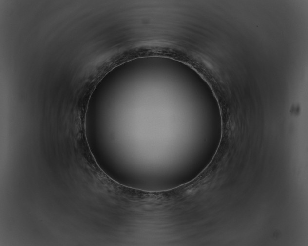 X0000091481062200708301909