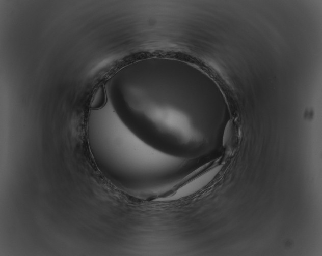 X0000091481063200708301909