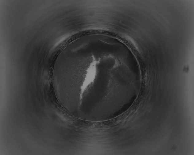 X0000091481064200708301909