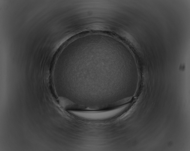 X0000091481065200708301909