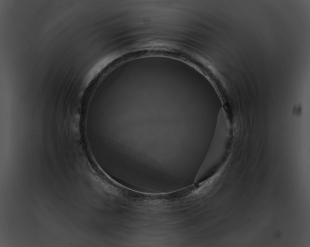 X0000091481066200708301909