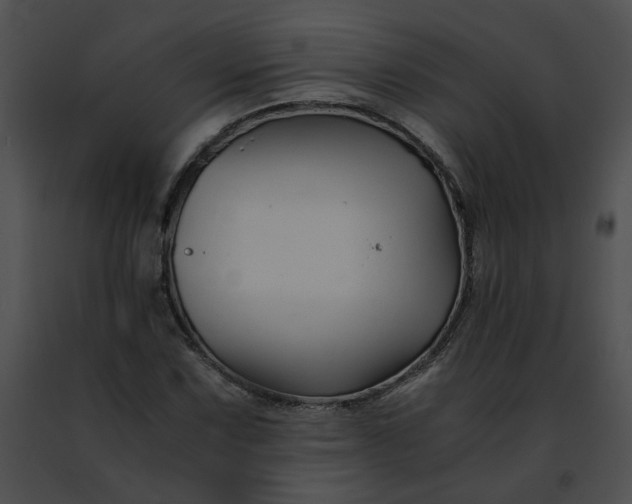 X0000091481067200708301909