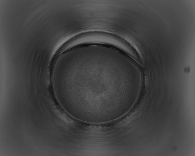 X0000091481069200708301909