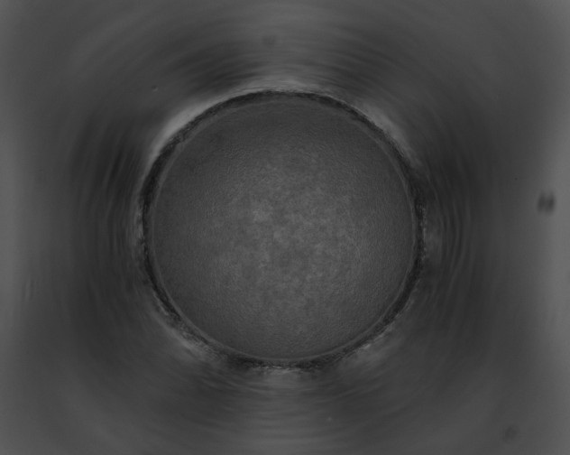 X0000091481070200708301909