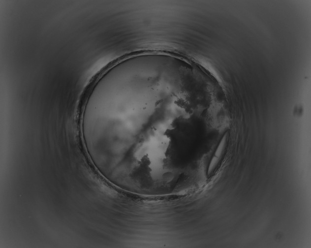 X0000091481071200708301909