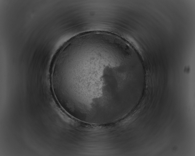 X0000091481072200708301909