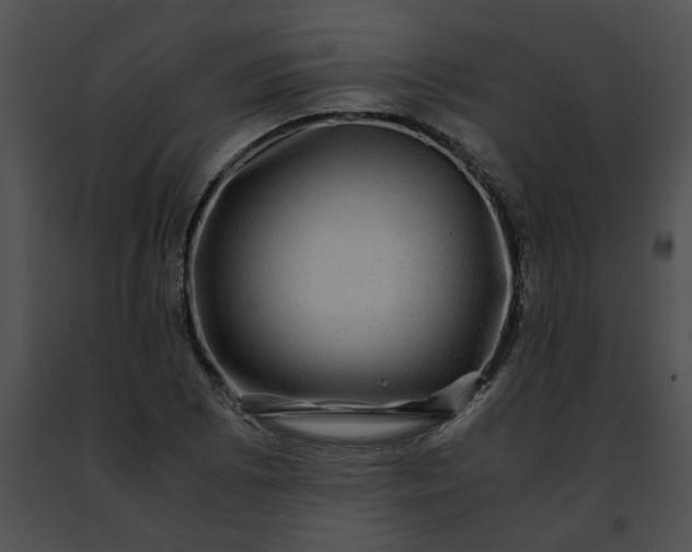 X0000091481073200708301909