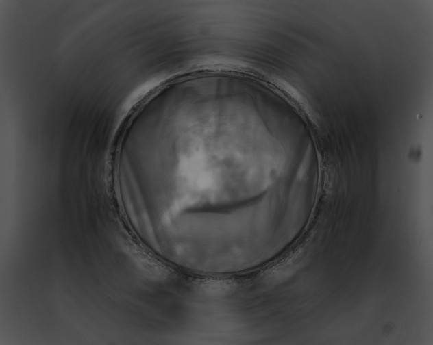 X0000091481074200708301909