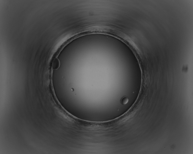 X0000091481075200708301909