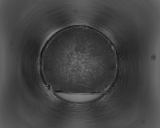 X0000091481076200708301909