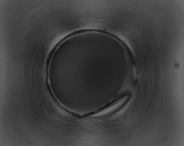 X0000091481077200708301909