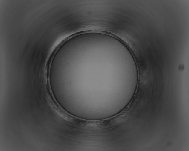 X0000091481078200708301909