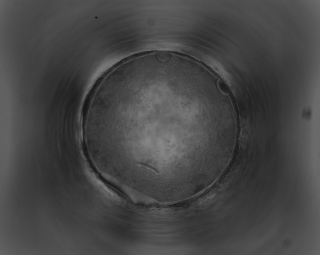 X0000091481080200708301909