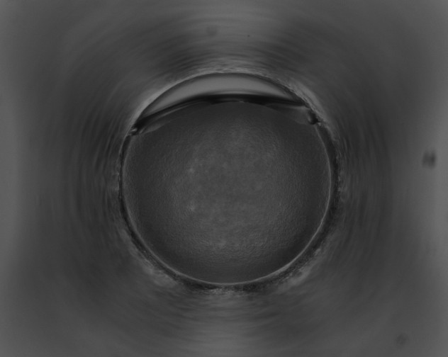 X0000091481081200708301909