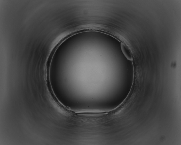 X0000091481082200708301909