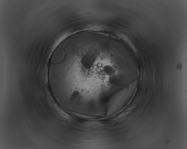 X0000091481083200708301909